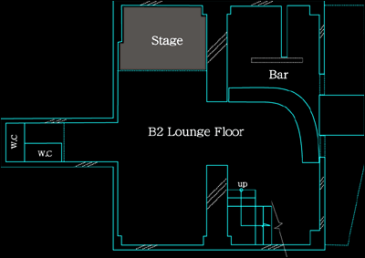 Lounge Floor